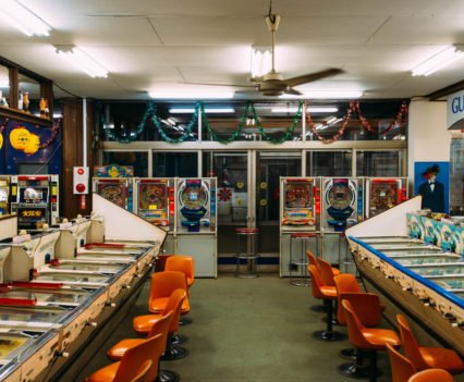 🏞️ 사가미 호수 공원(사가미코코엔) 이미지 5